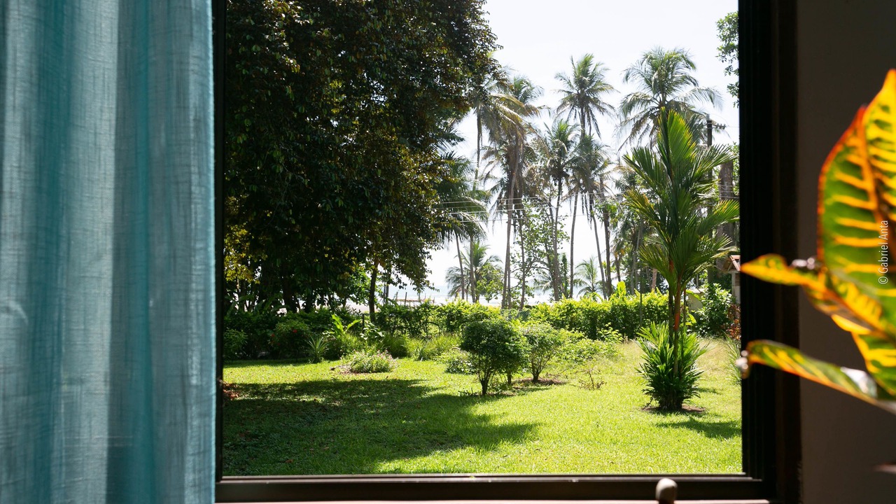 Photo of Bedroom in Cahuita