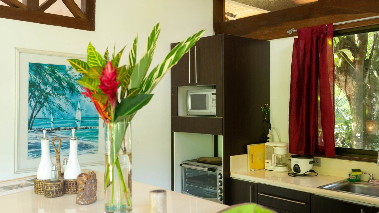 Photo of Kitchen in Cahuita