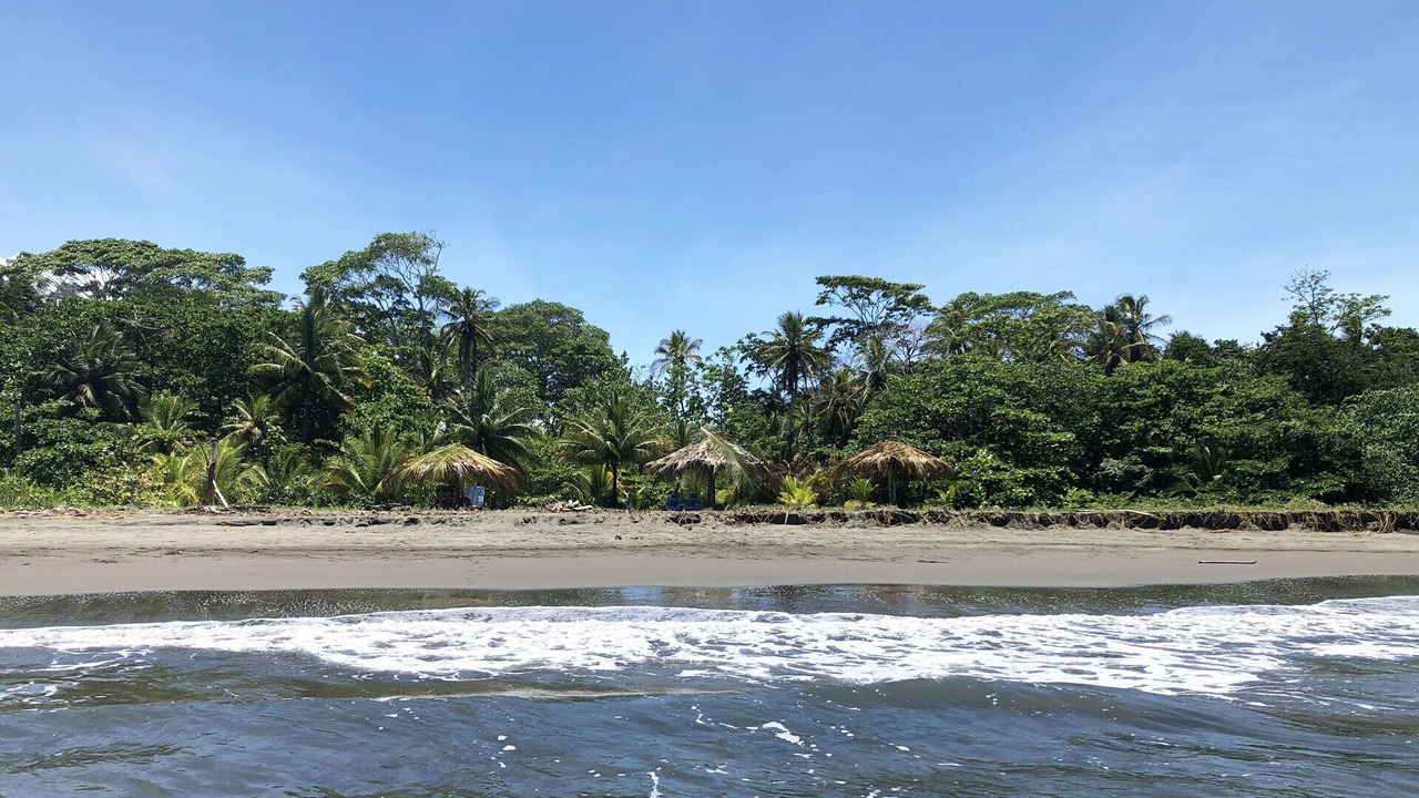 Photo of Outdoor in Cahuita