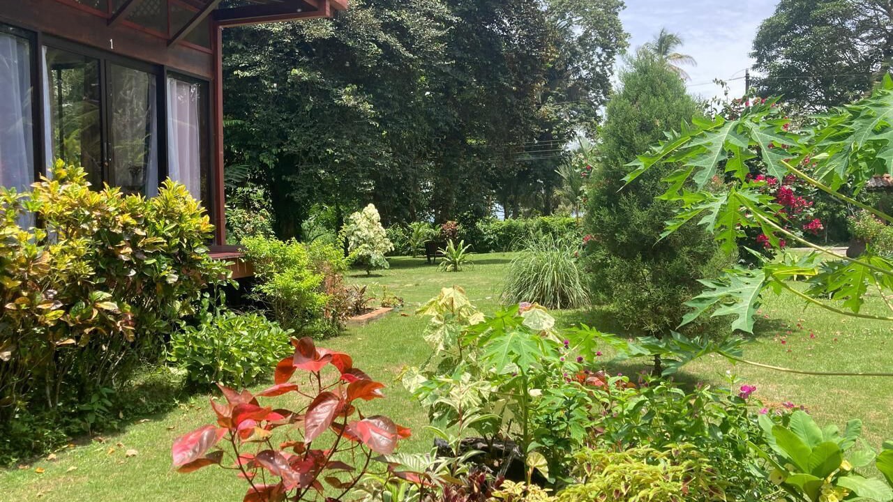 Photo of Outdoor in Cahuita