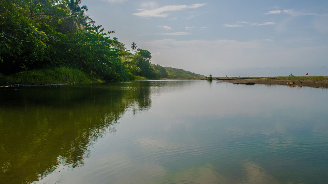 Photo of Others in Cahuita