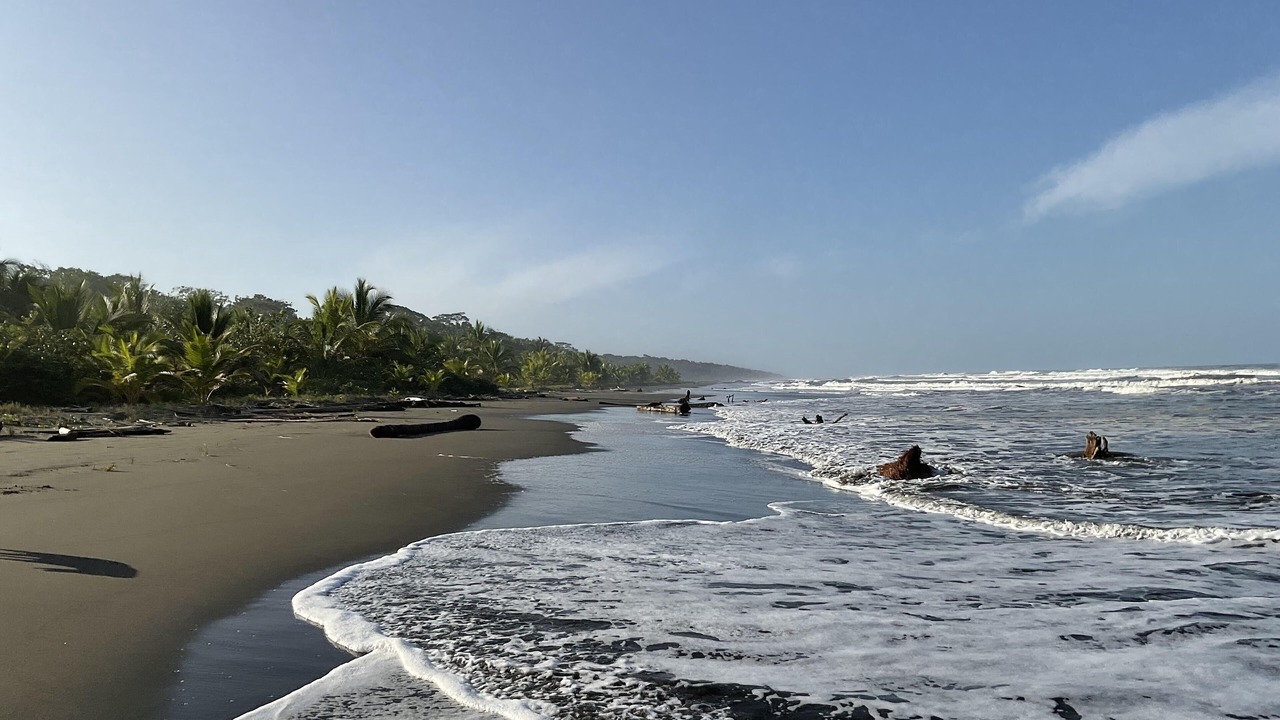Photo of Others in Cahuita