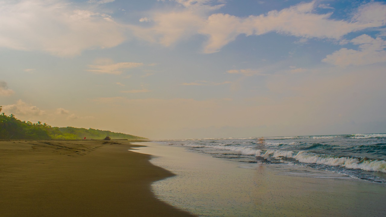 Photo of Outdoor in Cahuita