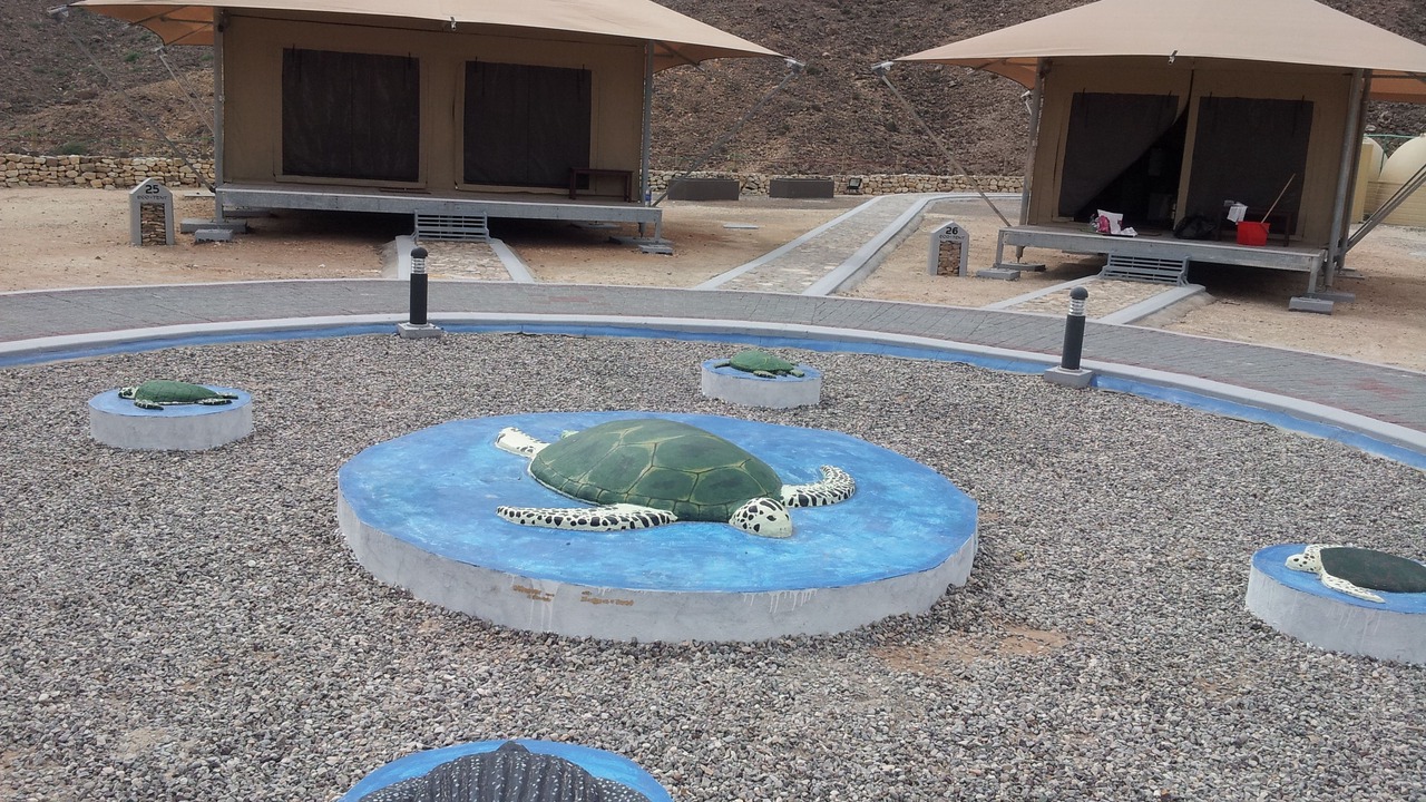 Photo of Outdoor in Al Hadd