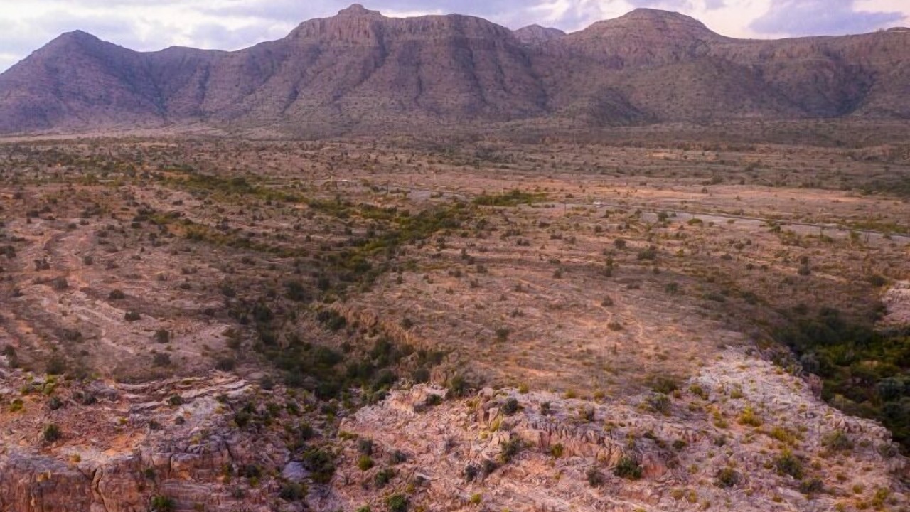 Photo of Outdoor in Sayq