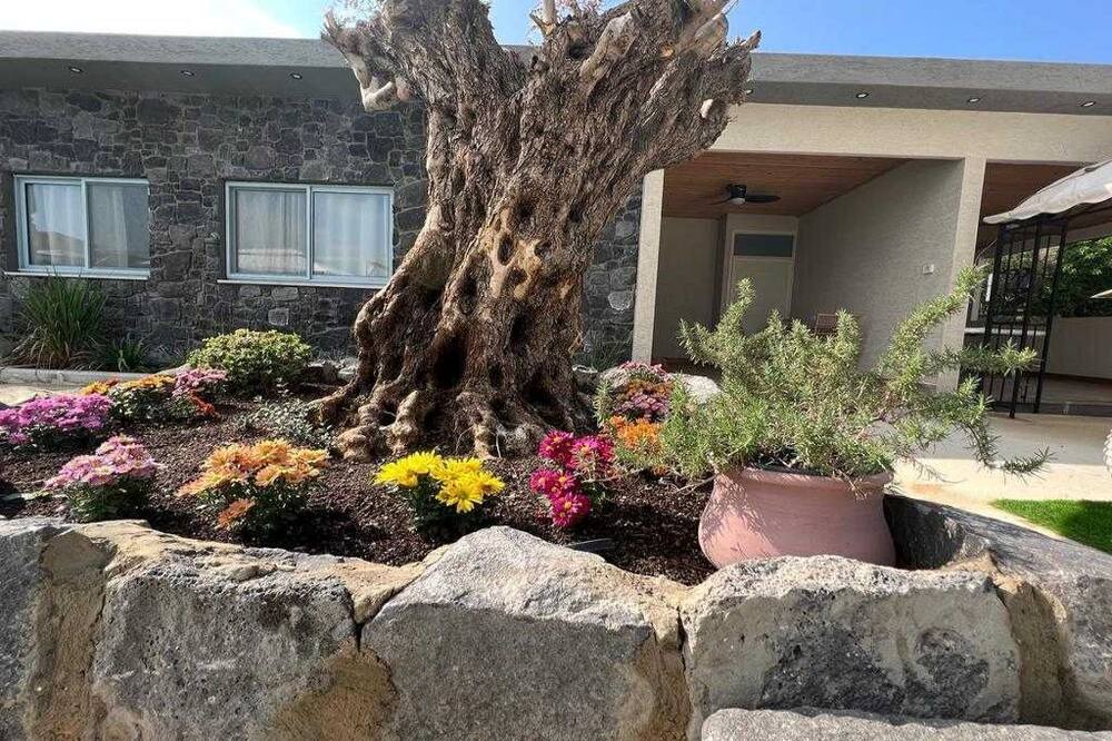 Photo of Outdoor in Yavne'el