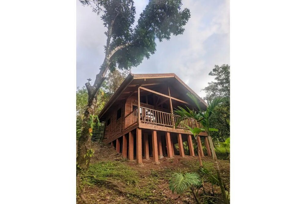 Photo of Outdoor in Las Delicias
