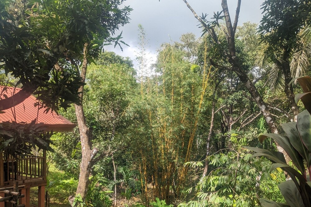 Photo of Outdoor in Las Delicias