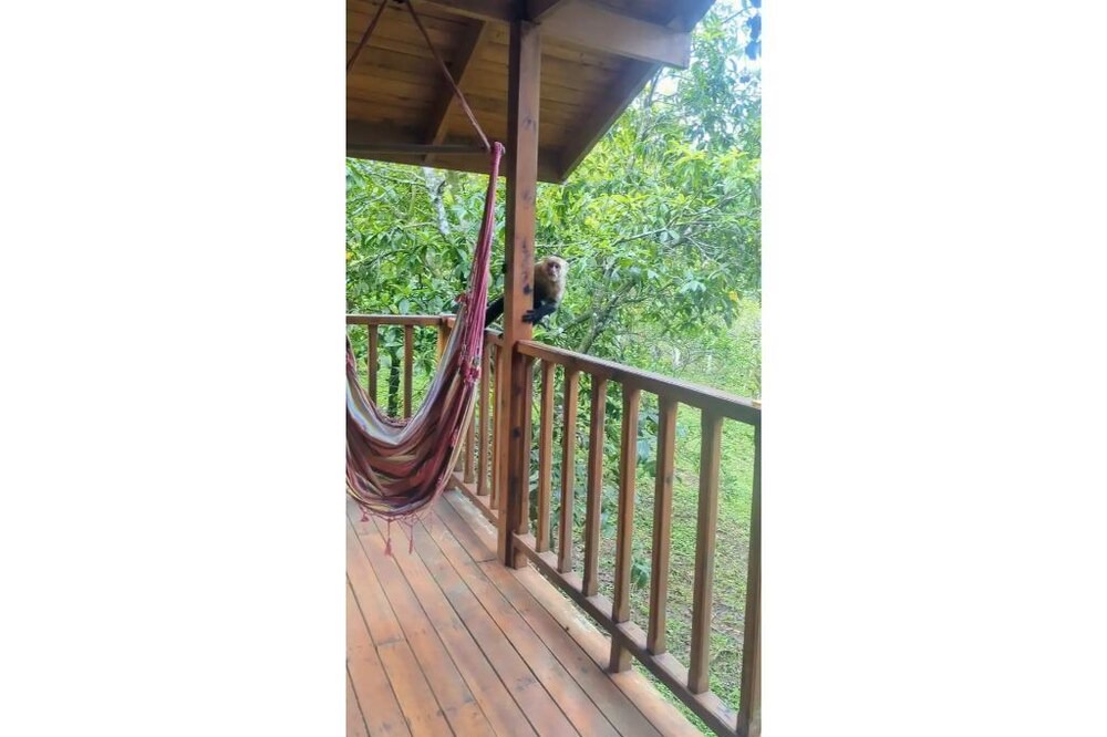 Photo of Outdoor in Las Delicias