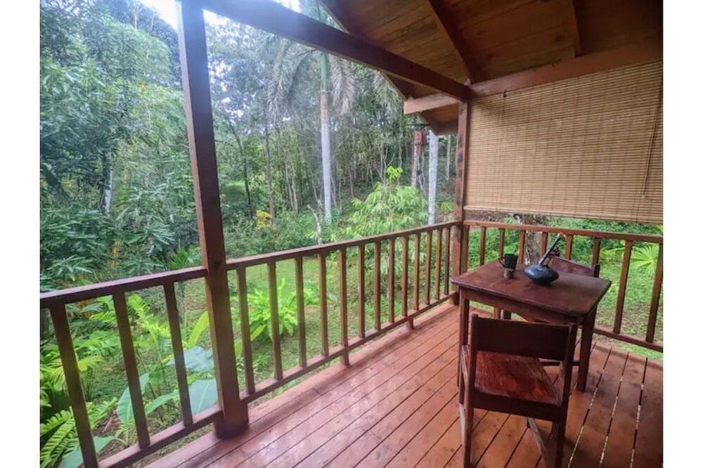 Photo of Outdoor in Las Delicias
