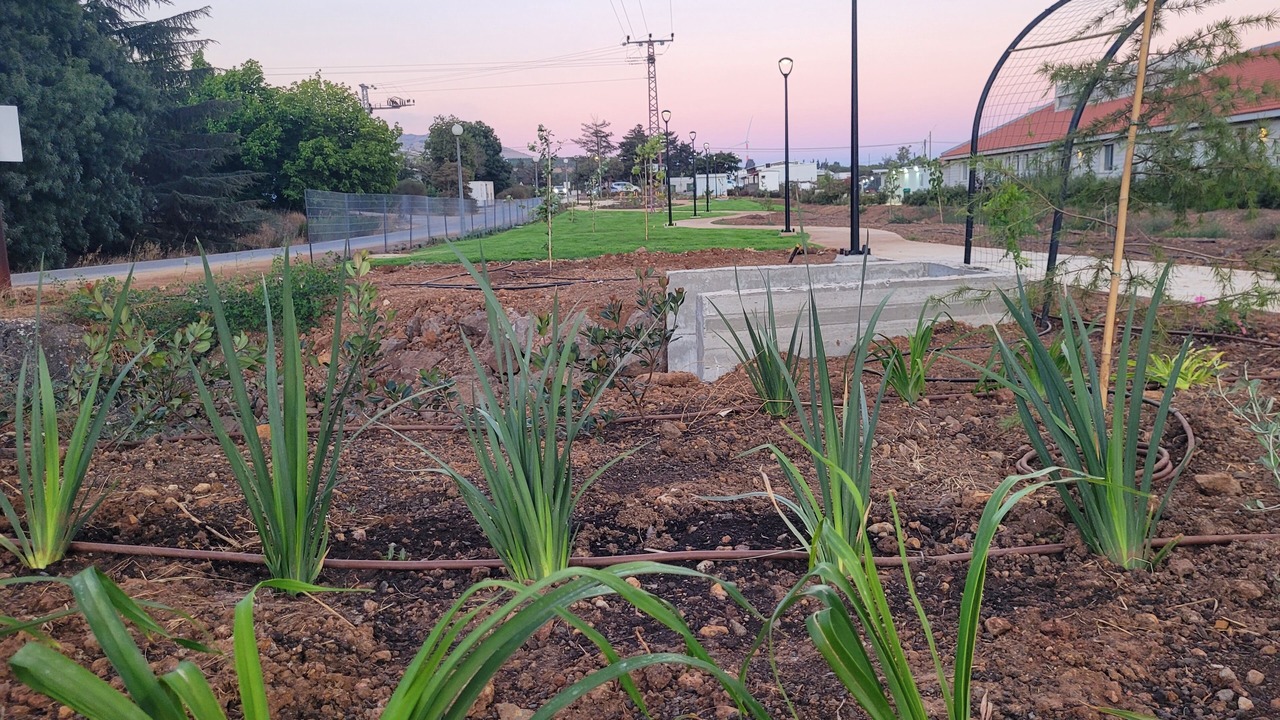 Photo of Outdoor in El-Rum