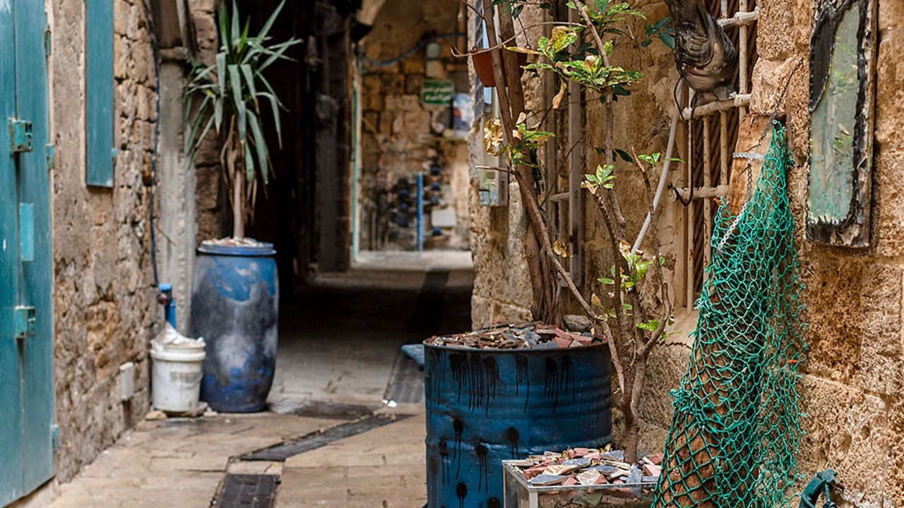 Photo of Outdoor in Acre