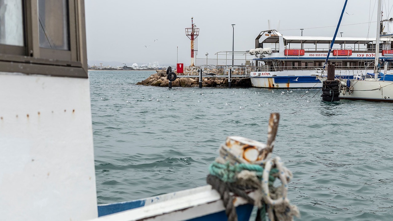 Photo of Outdoor in Acre