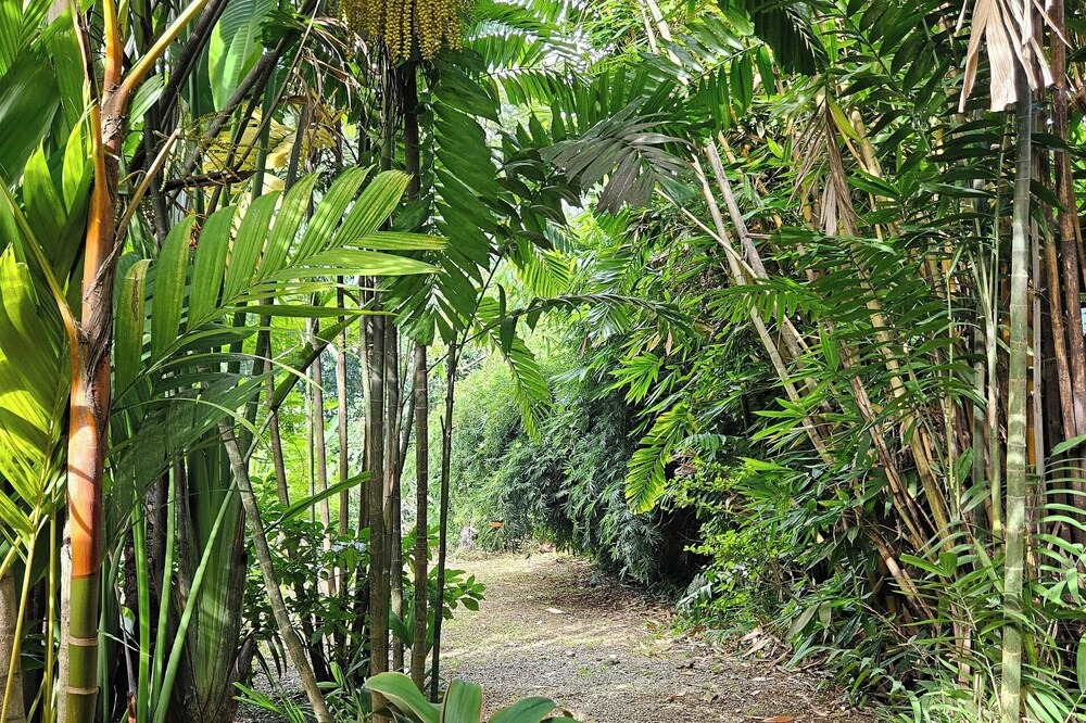 Photo of Outdoor in Uvita