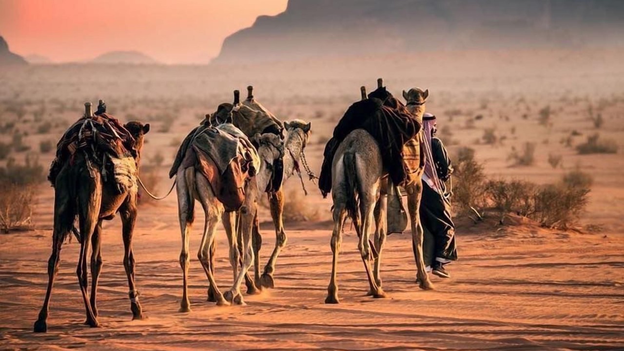 Photo of Outdoor in Wadi Rum