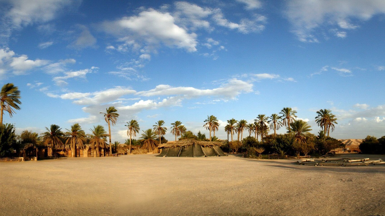 Photo of Outdoor in Mahane Zofar