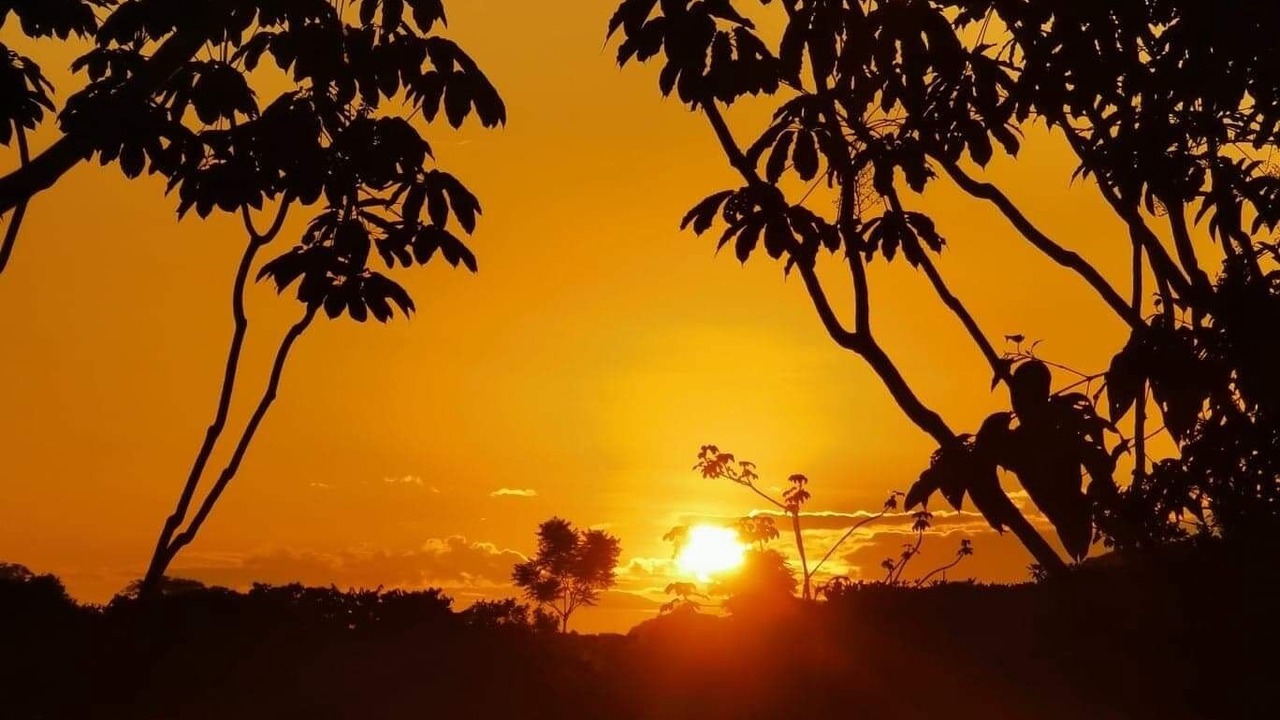 Photo of Outdoor in Punta Mala