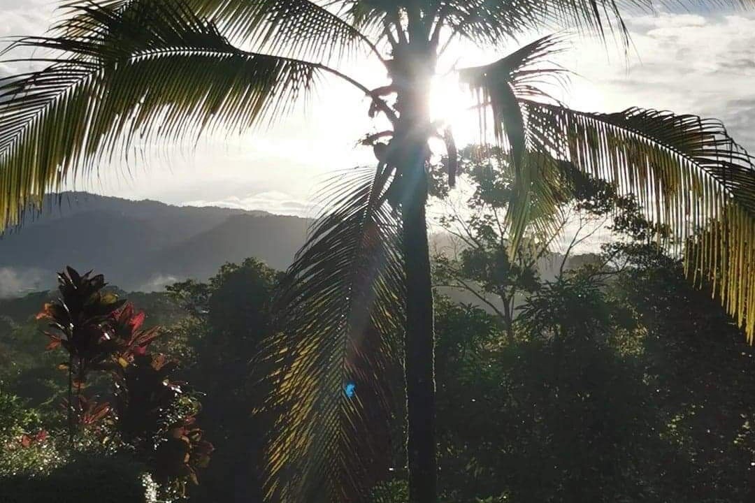 Photo of Outdoor in Punta Mala