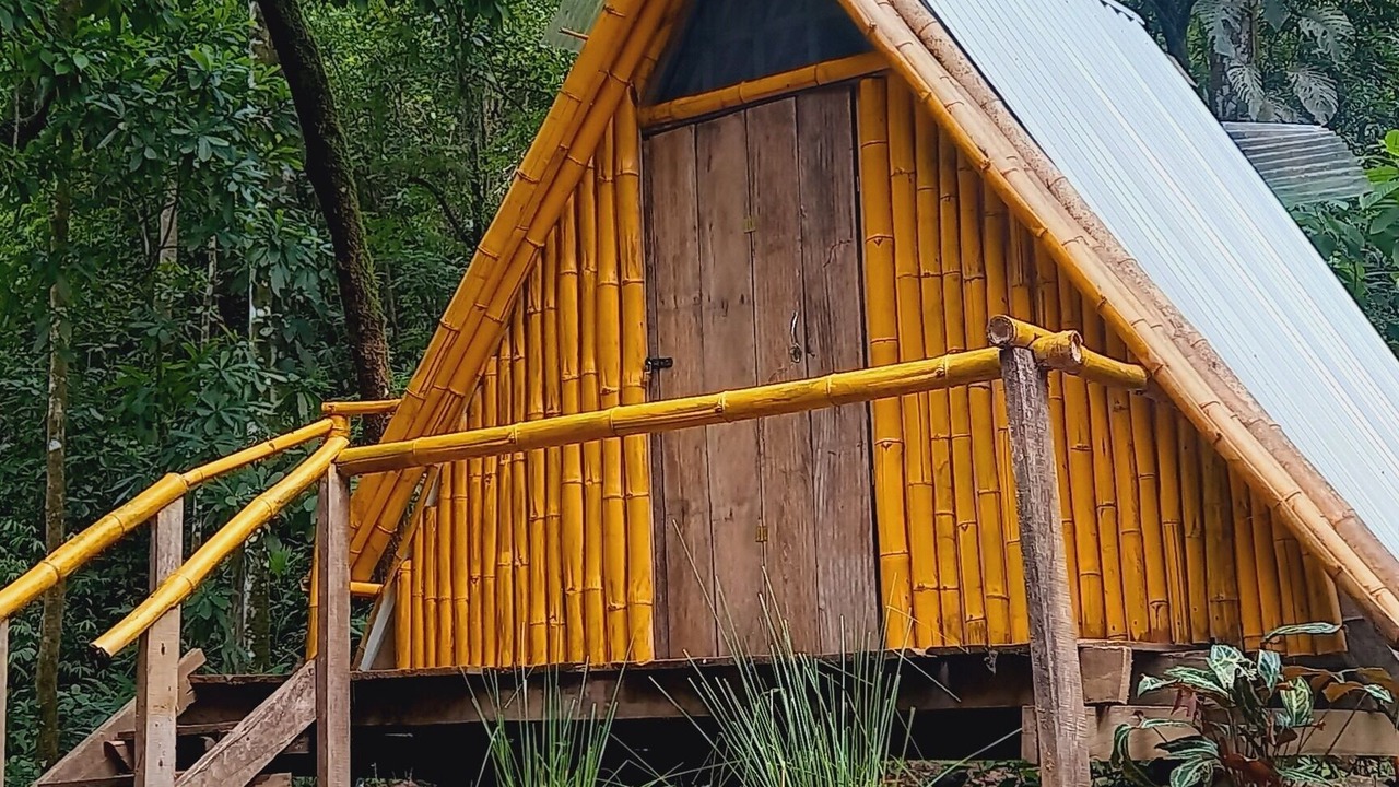 Photo of Others in Jaco