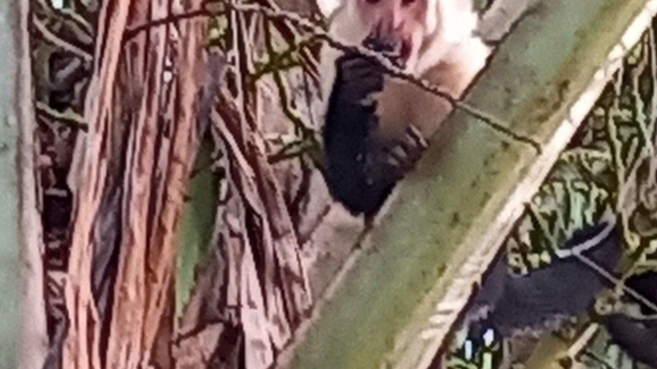 Photo of Outdoor in Jaco