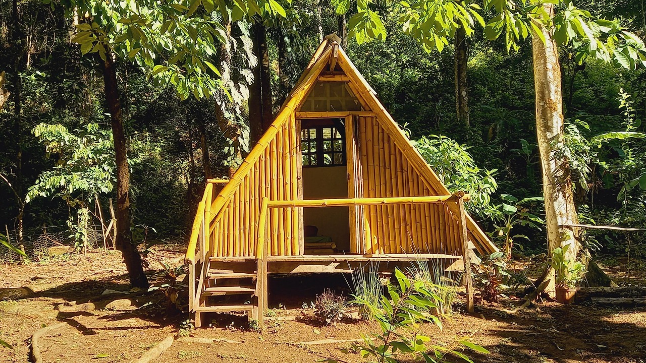 Photo of Outdoor in Jaco