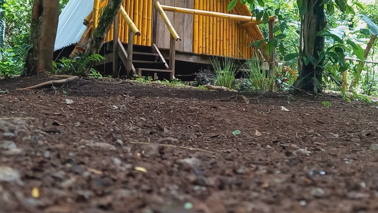 Photo of Outdoor in Jaco