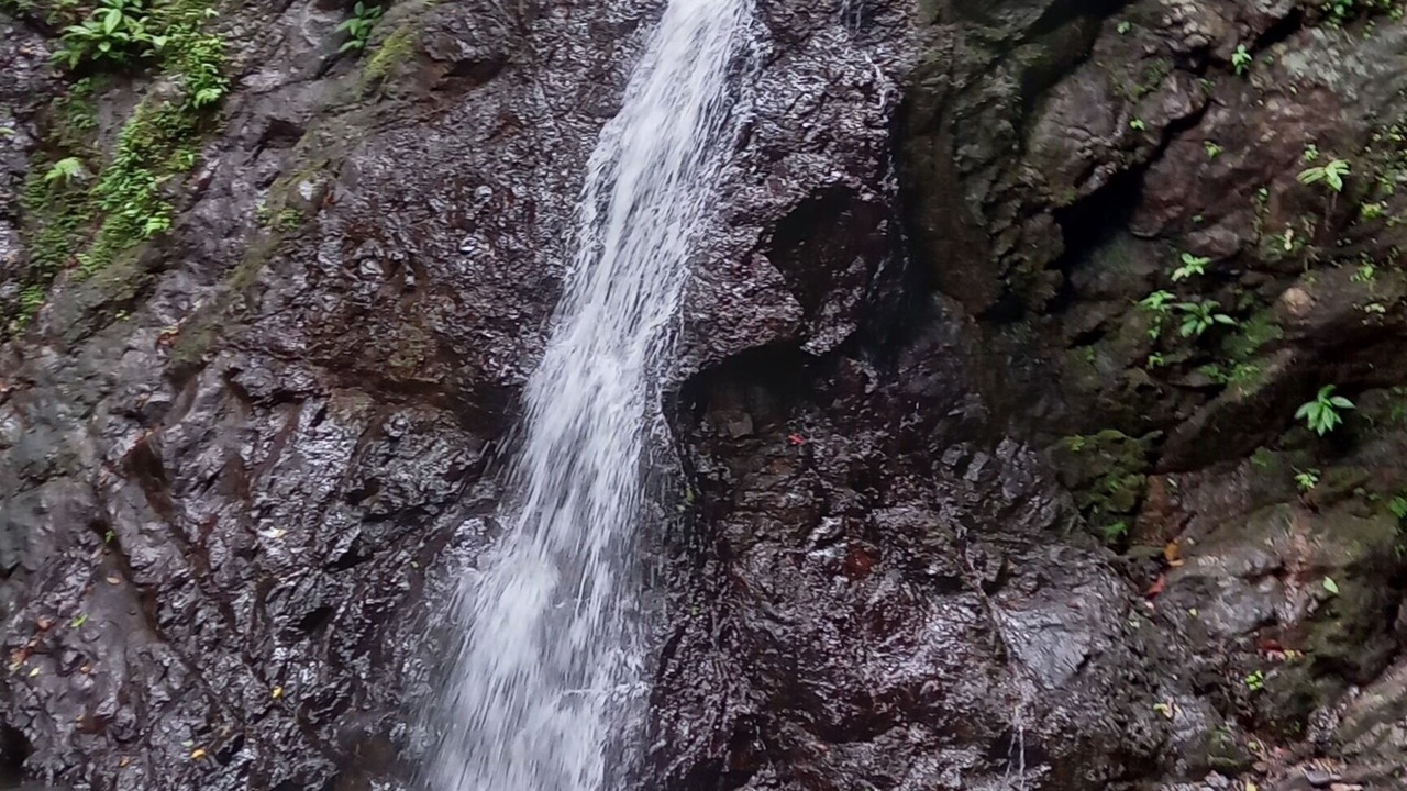 Photo of Outdoor in Jaco