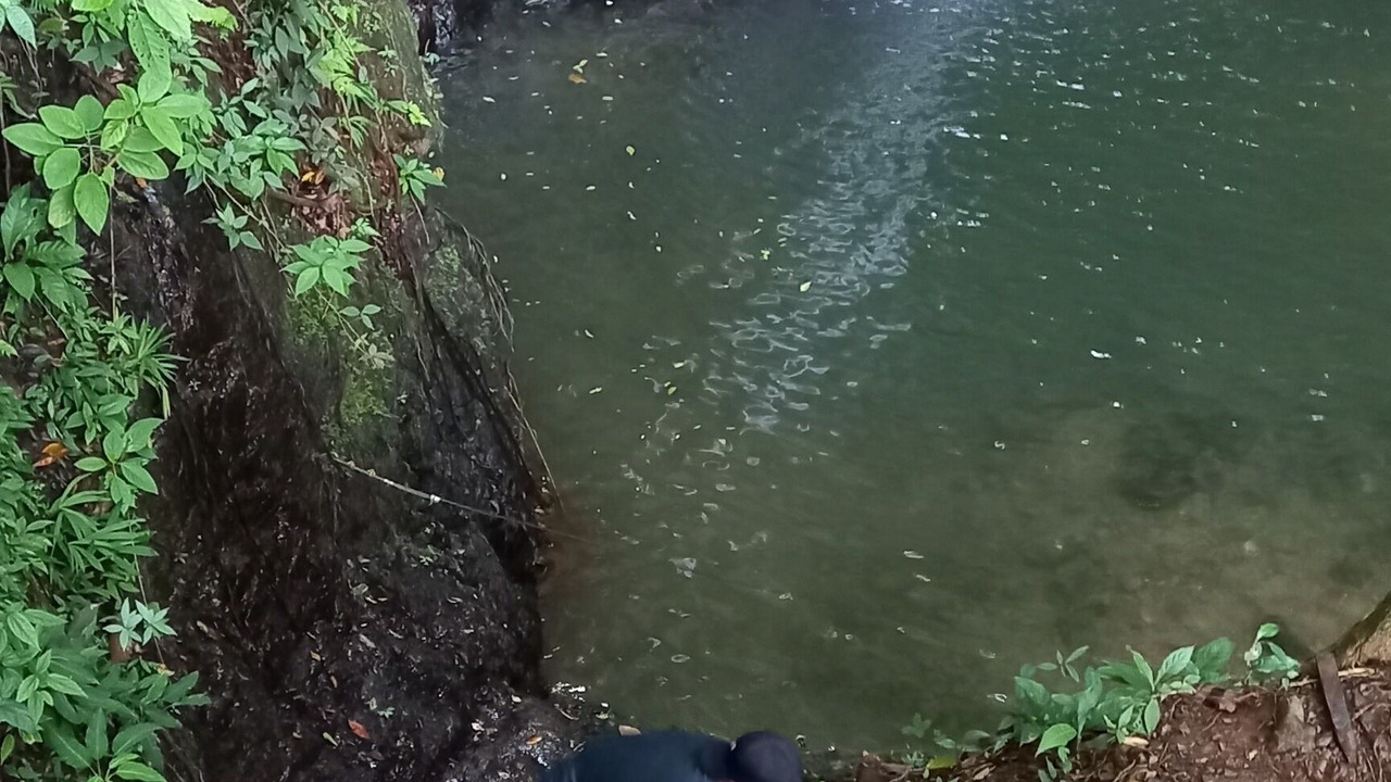 Photo of Outdoor in Jaco