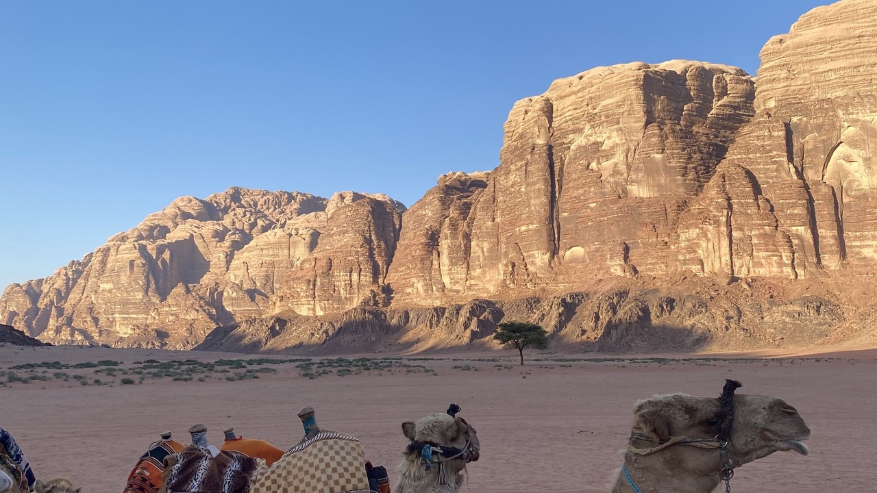 Photo of Outdoor in Wadi Rum