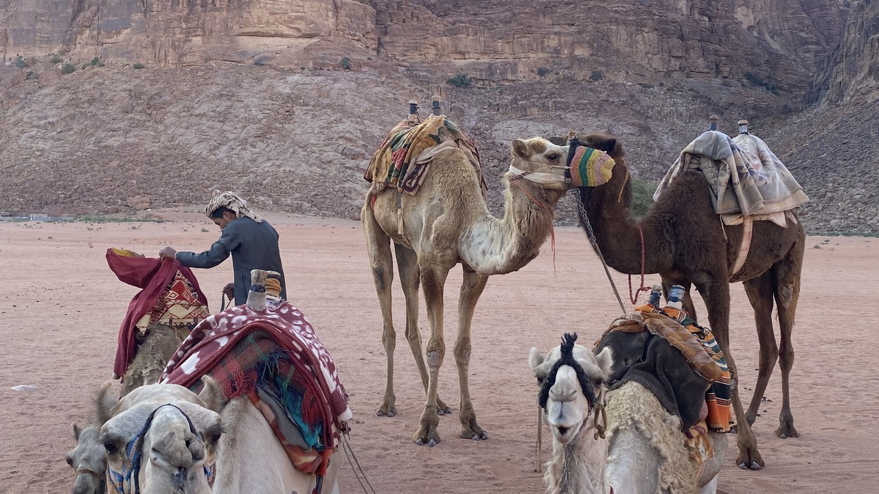 Photo of Others in Wadi Rum