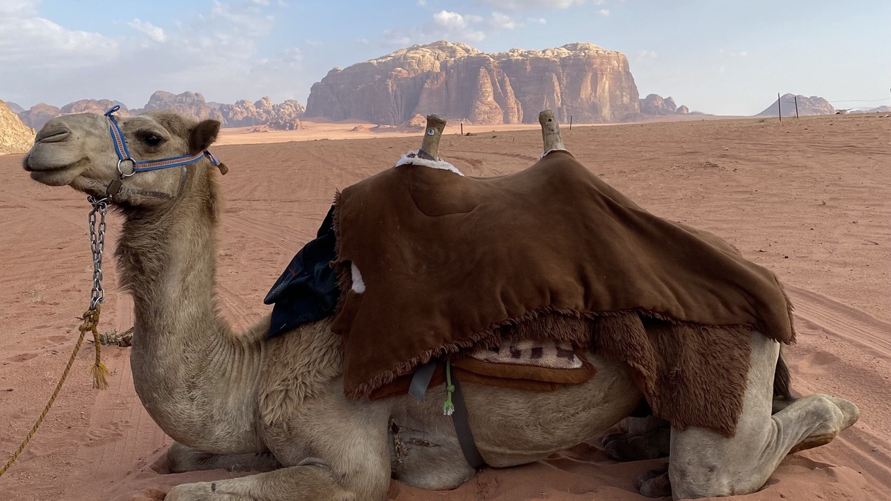 Photo of Others in Wadi Rum