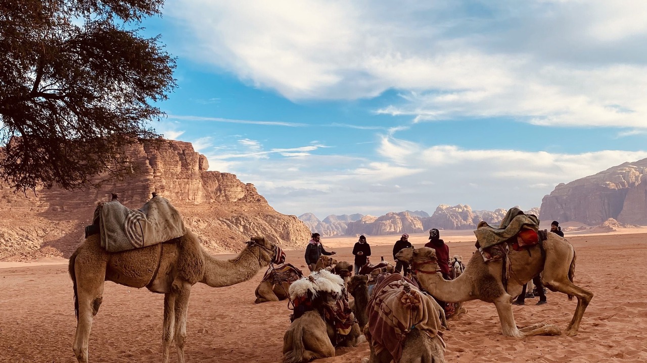 Photo of Others in Wadi Rum
