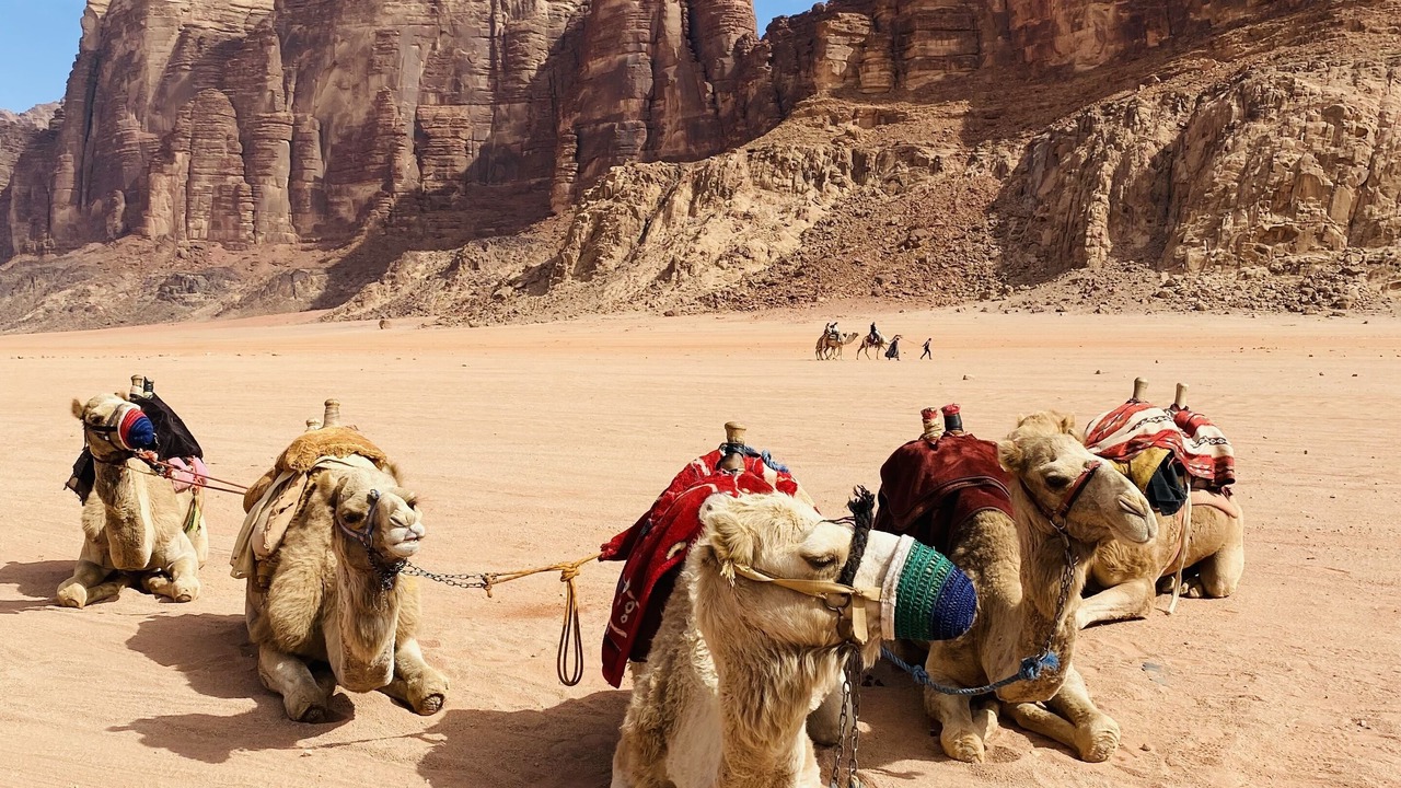 Photo of Others in Wadi Rum