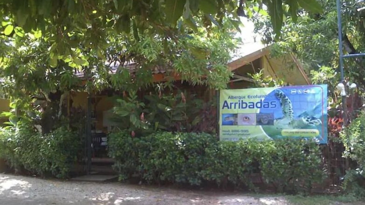 Photo of Outdoor in Ostional