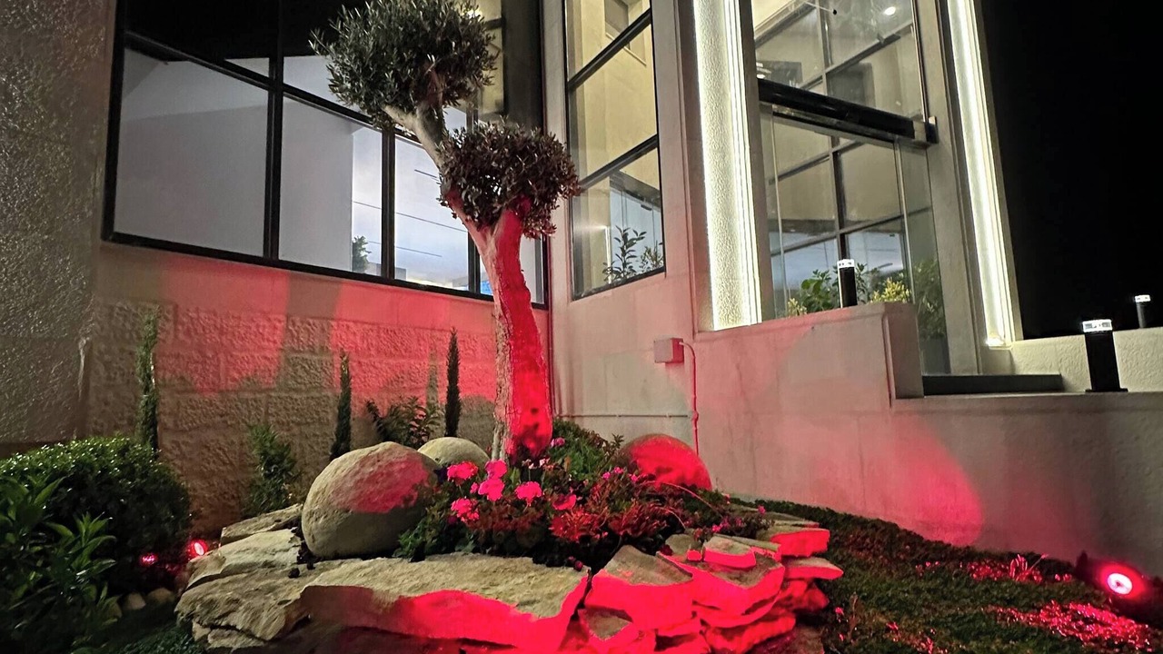 Photo of Outdoor in Amman