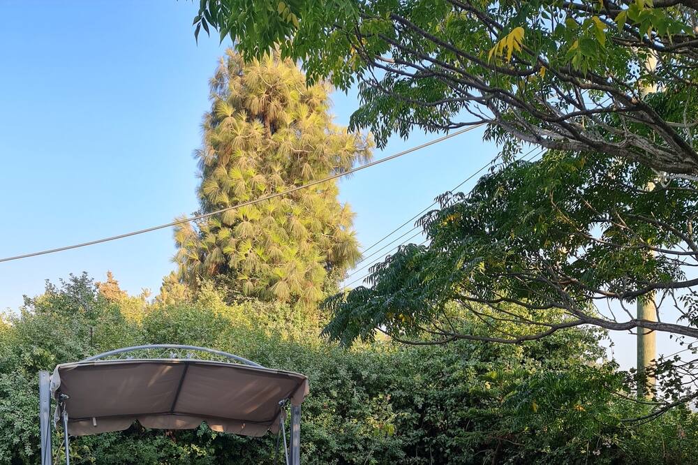 Photo of Outdoor in Yodfat
