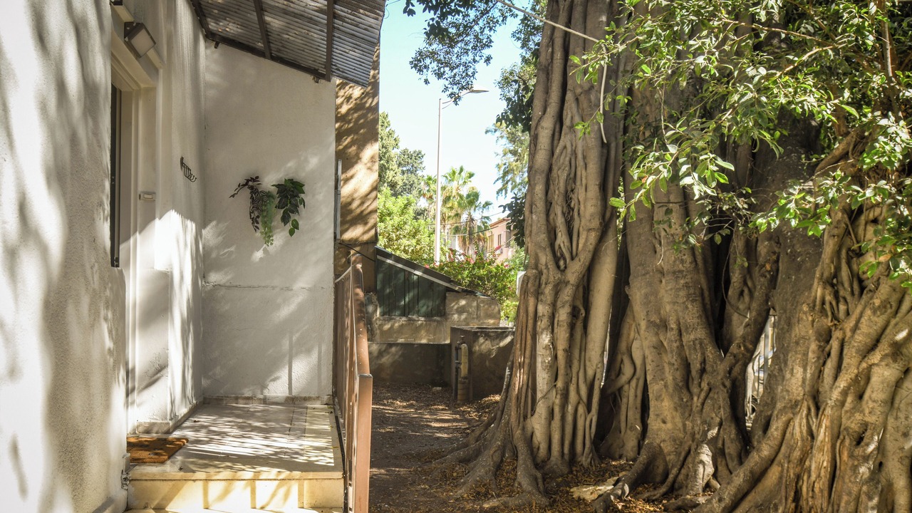 Photo of Outdoor in Haifa