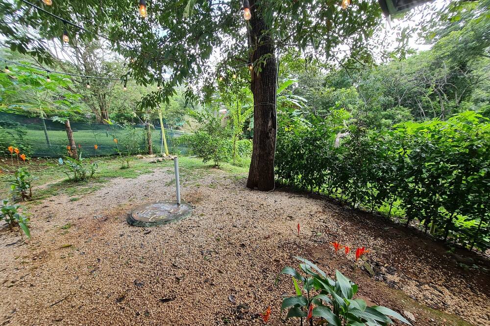 Photo of Outdoor in Pinilla