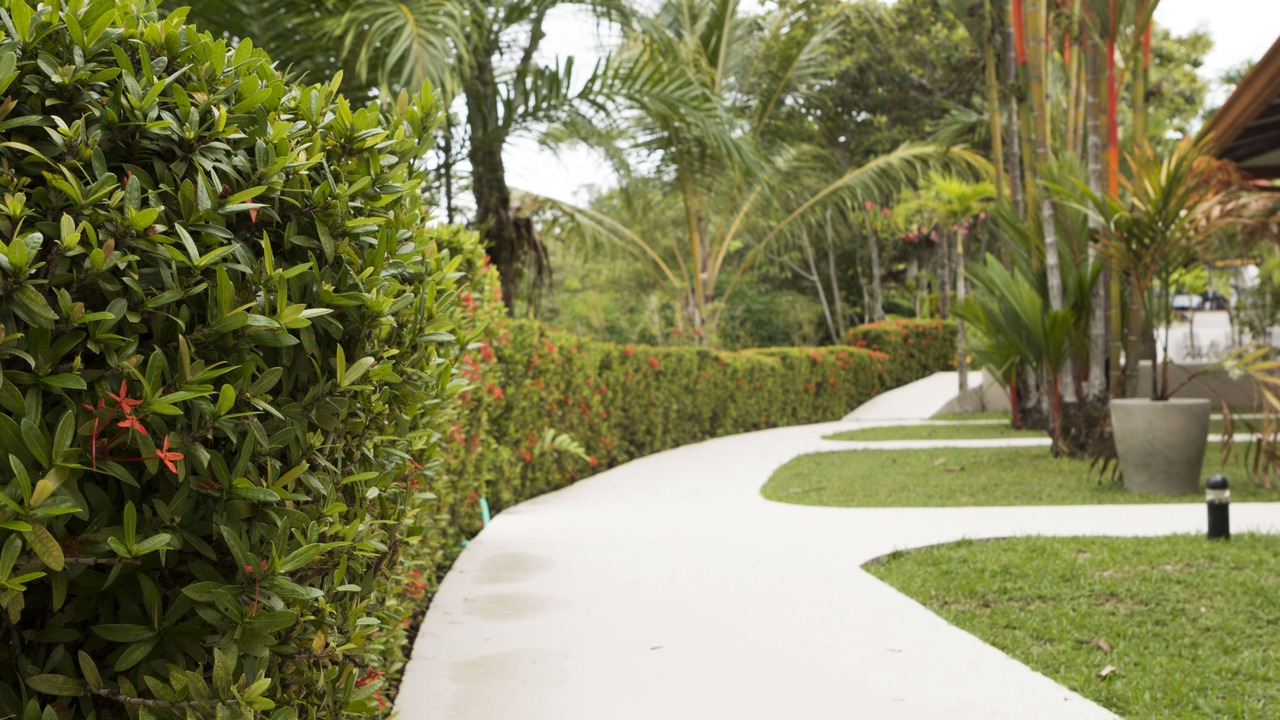 Photo of Outdoor in Ciudad Cortes
