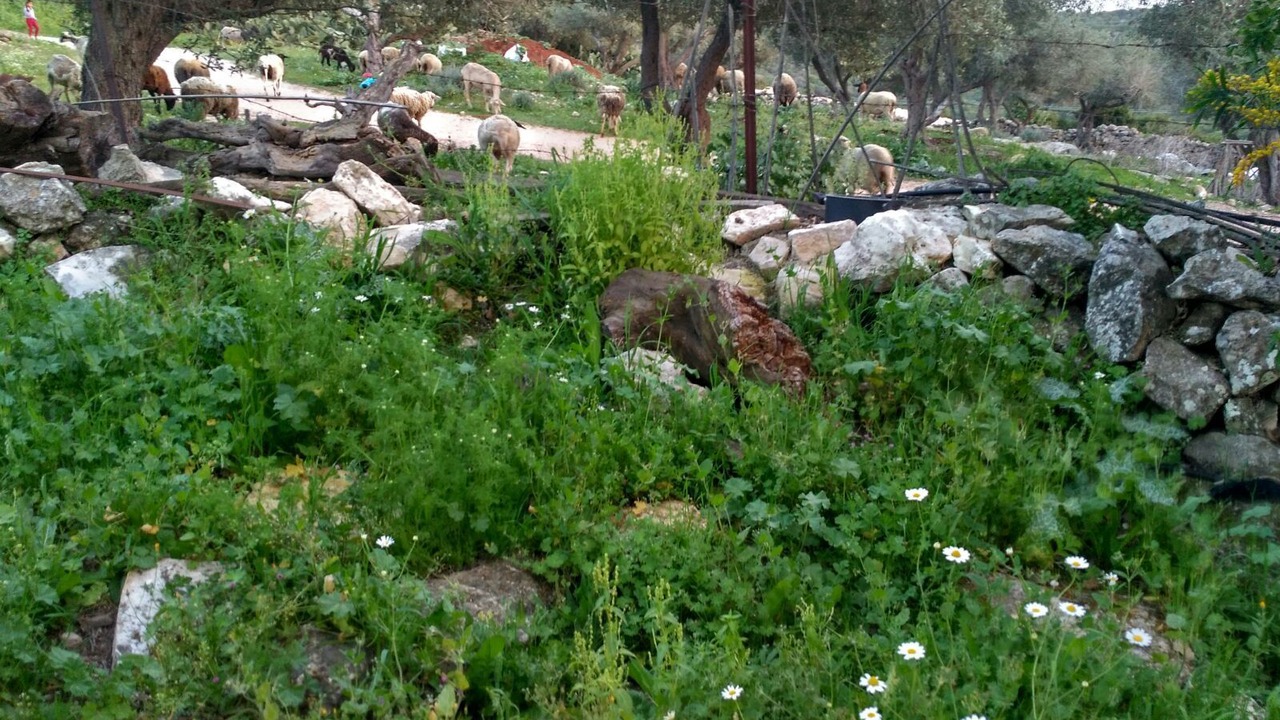 Photo of Outdoor in Tabash