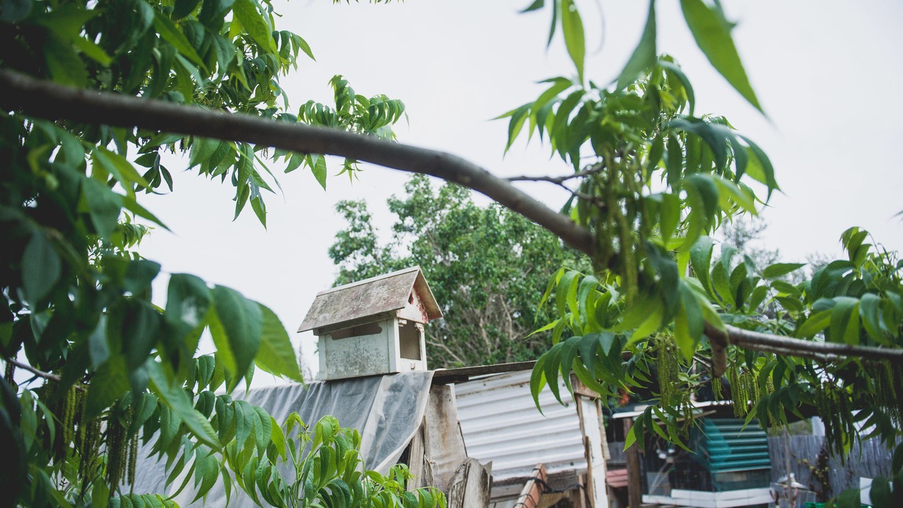 Photo of Outdoor in Tabash