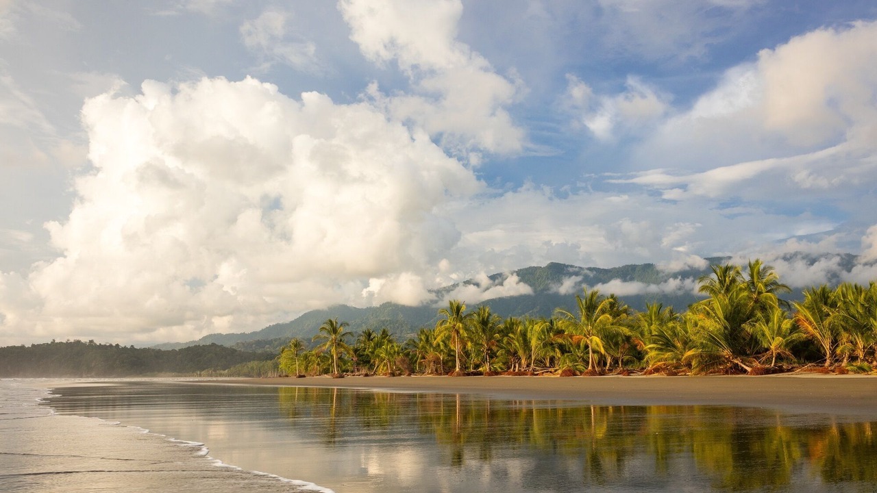Photo of Outdoor in Playa Tortuga