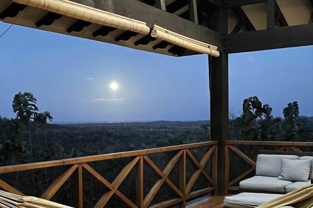 Photo of Patio Balcony in Pinilla