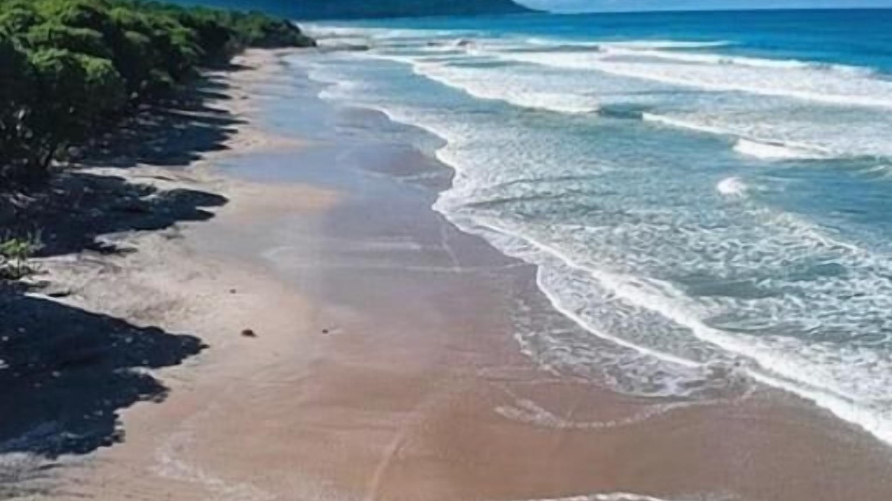 Photo of Others in Playa Santa Teresa