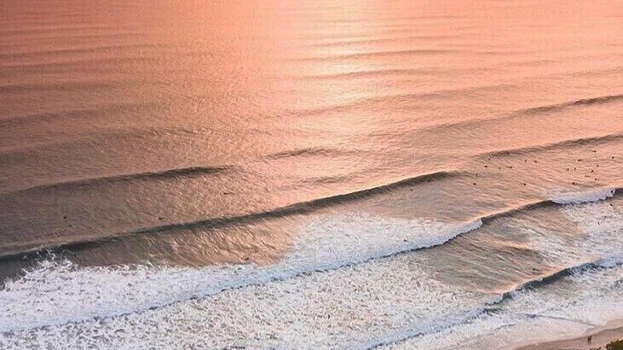 Photo of Others in Playa Santa Teresa