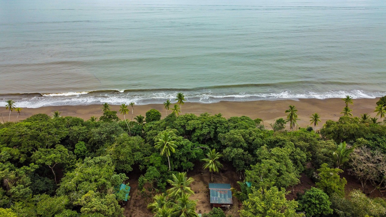 Photo of Others in Drake Bay