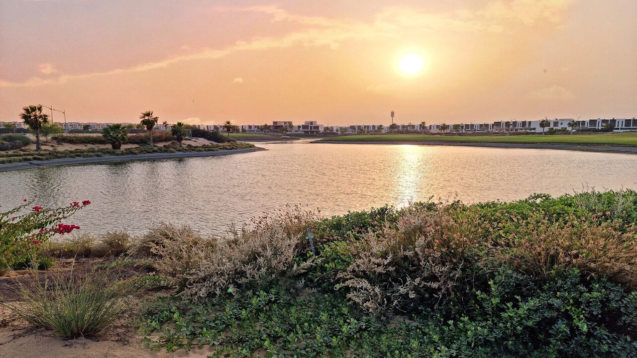 Photo of Others in Dubai