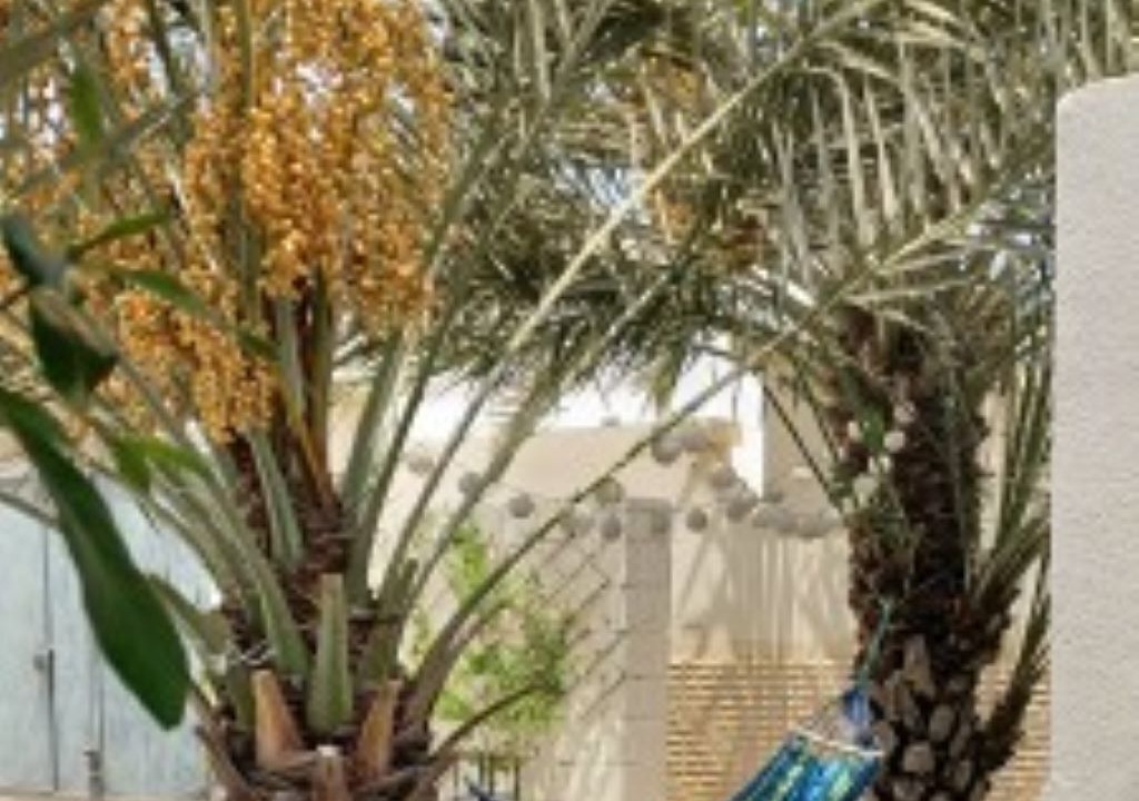 Photo of Outdoor in Al Jazirat Al Hamra