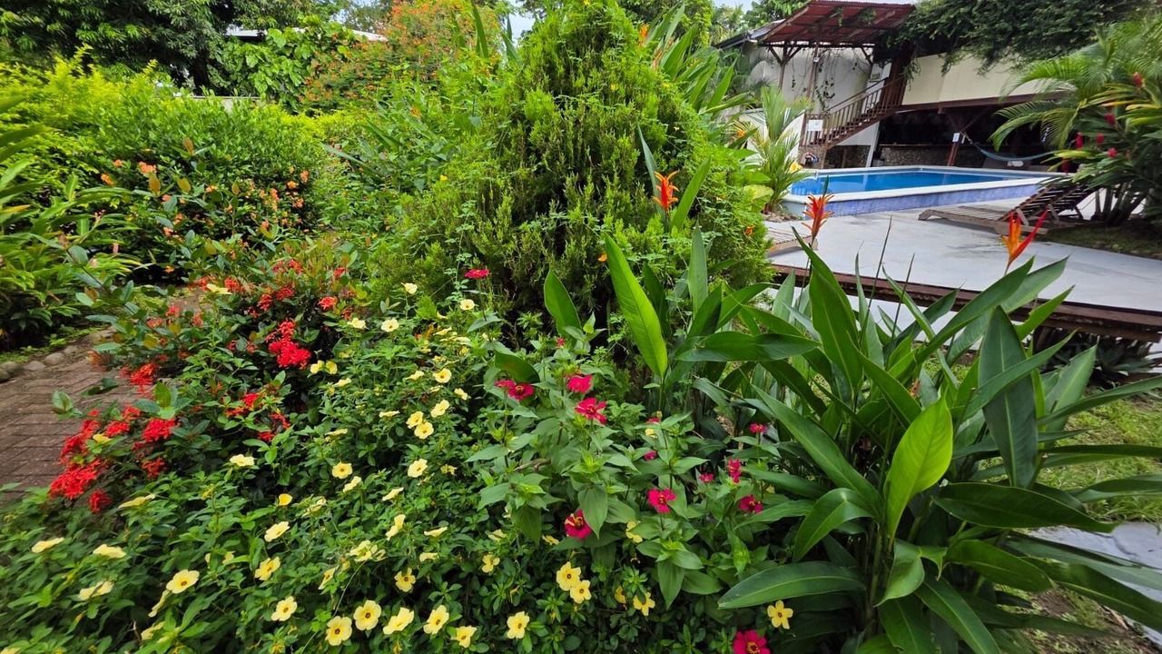 Photo of Outdoor in Puerto Viejo de Talamanca