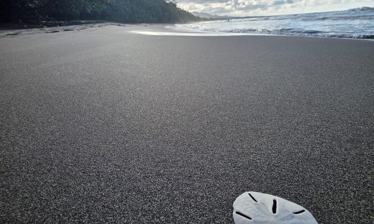 Photo of Outdoor in Puerto Viejo de Talamanca